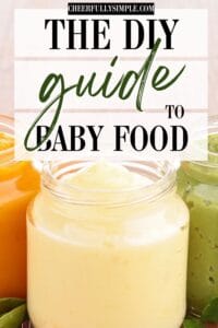 easy DIY guide to baby food pinterest pin