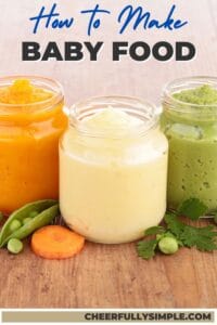 how to make baby food Pinterest pin