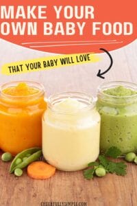 make your own baby food Pinterest pin
