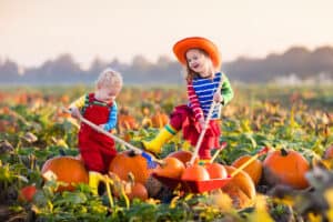 kids playing in the fall at the pumpkin patch