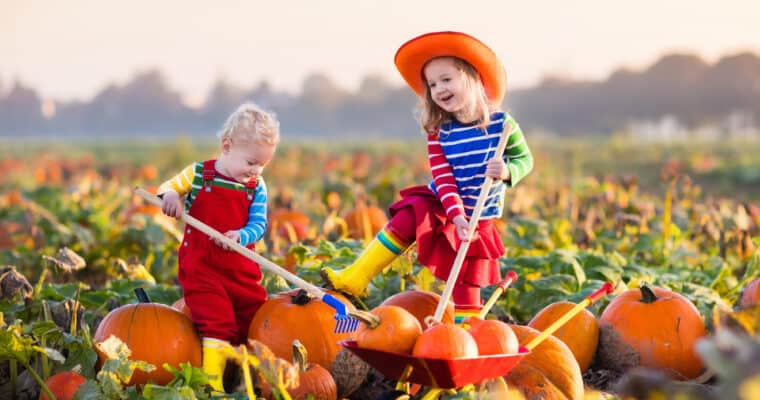 19 Fun and Frugal Fall Activities to Do With Kids