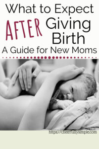 postpartum advice for new moms pinterest pin 
