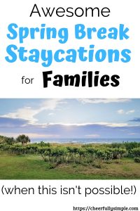 spring break staycation pinterest pin