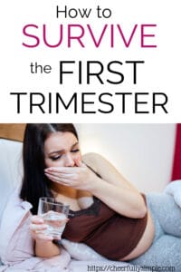 how to survive the first trimester pinterest pin