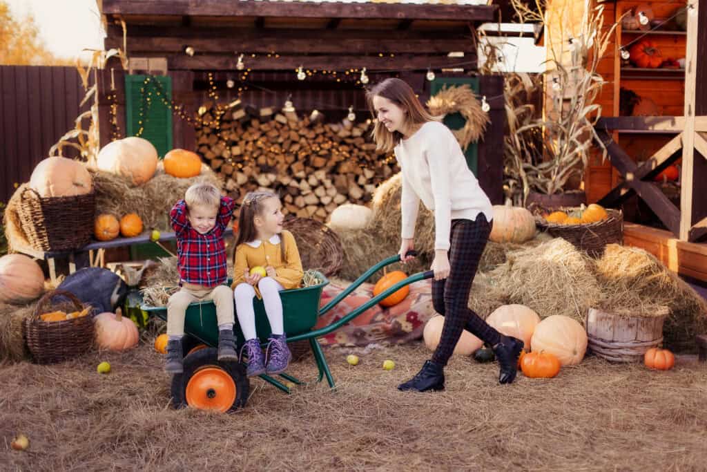 picture of a mom pushing her kids in a wheelbarrow at a pumpkin farm