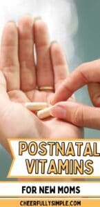 how to choose a postnatal vitamin pinterest pin