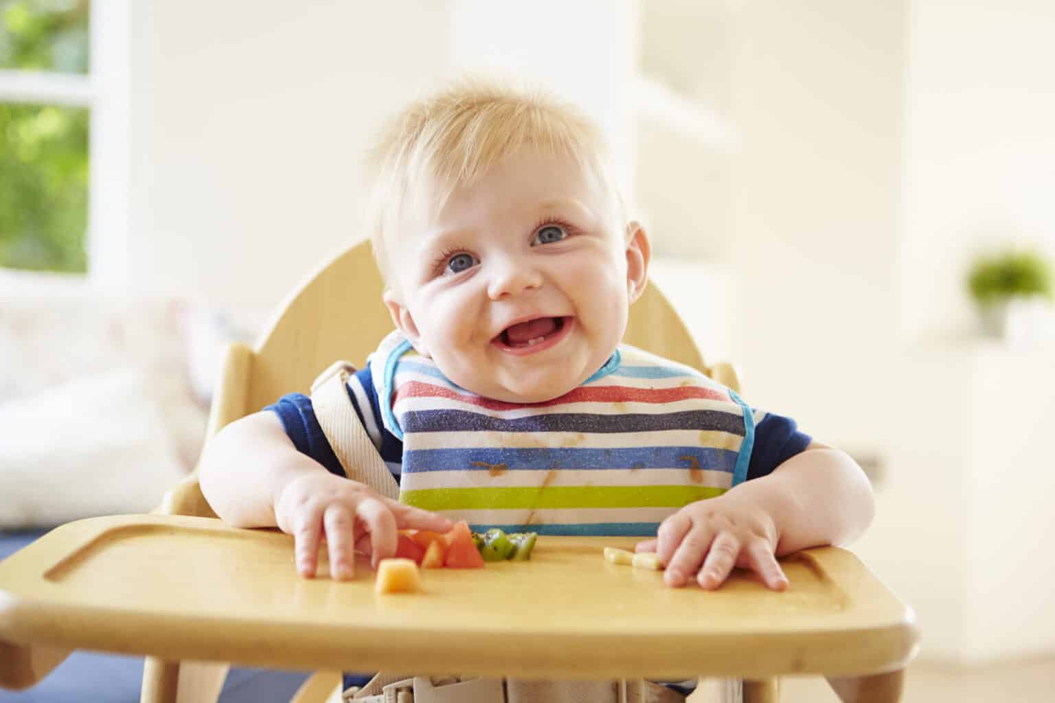 The Best High Chairs for BabyLed Weaning 2024 Cheerfully Simple