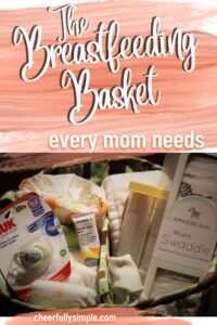 the breastfeeding basket pinterest pin