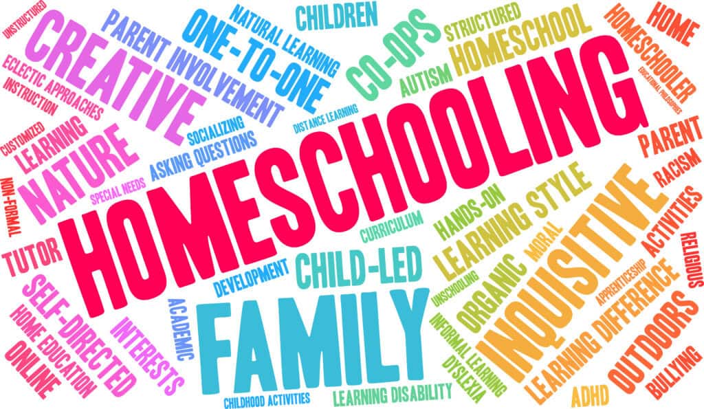homeschool word vector with words describing homeschool