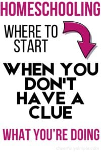 Pinterest pin with the text, "Homeschooling Where to Begin When You Don't Have a Clue What You're Doing"