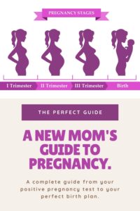 Pinterest pin with the text, "A New Mom's Guide to Pregnancy" with a picture of all 3 trimester of pregnancy and birth