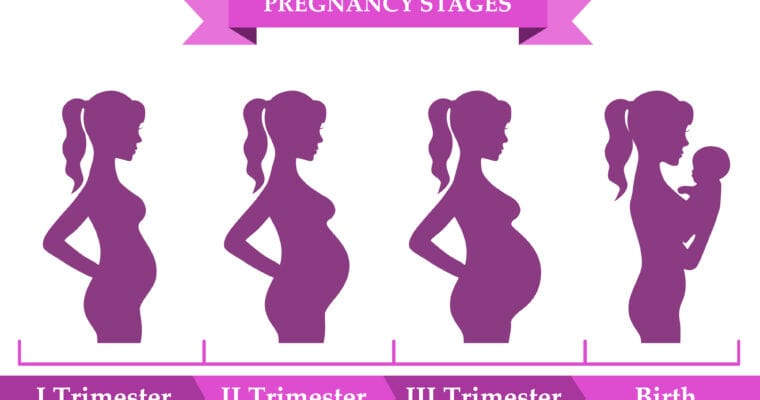 Complete Guide to Pregnancy